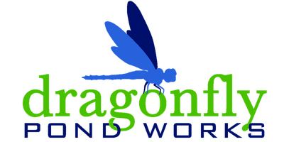 Construction Professional Dragonfly Pond Works, LLC in Raleigh NC