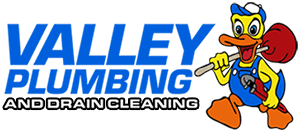 Valley Plumbing And Drain Cleani