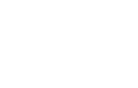 Fiesta Electric LLC