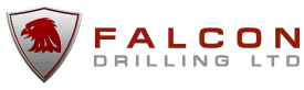Construction Professional Falcon Drilling, Inc. in Mound House NV