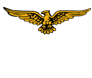 Construction Professional American Buildings CO in Newnan GA