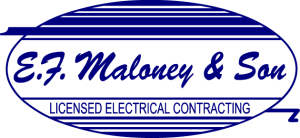 Construction Professional Ef Maloney And Son Audio Video Security INC in Miller Place NY