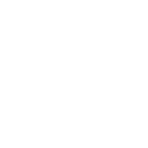 Construction Professional Concrete In Disguise, LLC in Aubrey TX