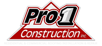 Construction Professional Pro-1 Construction Services CO in Oakbrook Terrace IL
