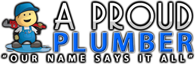 Construction Professional A Proud Plumber INC in Lake City FL