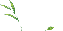 Construction Professional Wood Hollow Cabinets, Inc. in Dalton GA