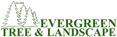 Construction Professional Evergreen Tree And Landscape Services Inc. in Seekonk MA