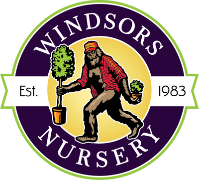 Construction Professional Windsors INC in Kimberly ID