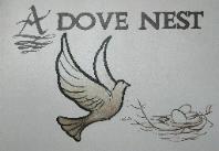 Construction Professional Dove Nest Builders in Kingston MI