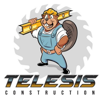 Construction Professional Telesis Inv Capitl Group INC in Orangevale CA