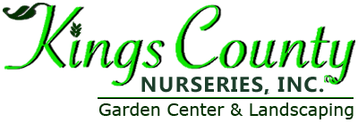 Kings County Nurseries INC