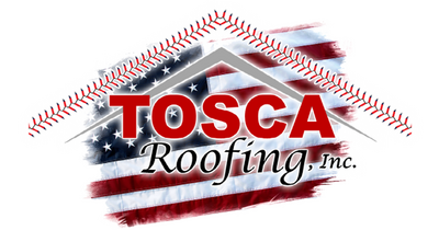 Construction Professional Tosca Roofing Services INC in Seffner FL