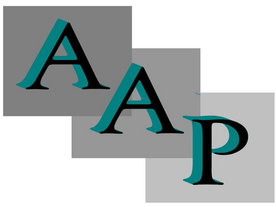 Construction Professional Aap Construction Group CORP in Katy TX
