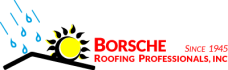 Construction Professional Borsche Rofg Professionals INC in Hortonville WI
