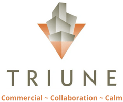 Construction Professional Triune Services Group, Inc. in Mckinney TX