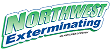 Construction Professional Contractors Termite Control in Whittier CA