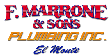 Construction Professional Frank Marrone And Sons Inc. in El Monte CA