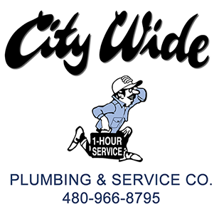 Construction Professional City Wide Plumbing And Service CO in Tempe AZ