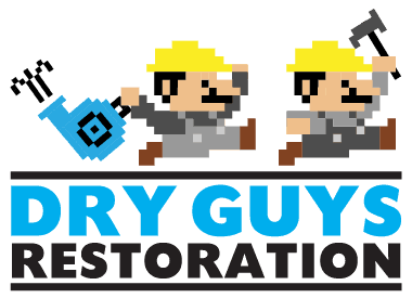 Construction Professional Dry Guys Restoration LLC in Mesa AZ