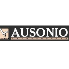 Construction Professional Ausonio in Castroville CA