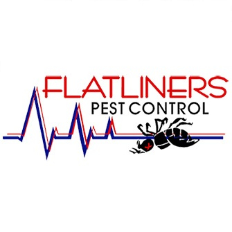 Construction Professional Flatliners Pest Control in Henderson NV