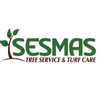 Construction Professional Sesmas Tree Service LLC in Lawrenceville, GA 