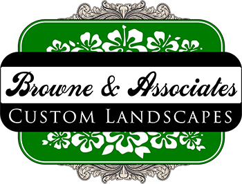 Construction Professional Browne And Associates LLC in Castle Rock CO