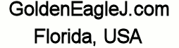 Construction Professional Golden Eagle J, INC in Kissimmee FL