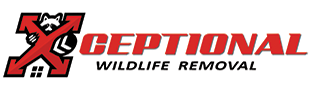 Construction Professional Xceptional Wildlife in Marietta GA